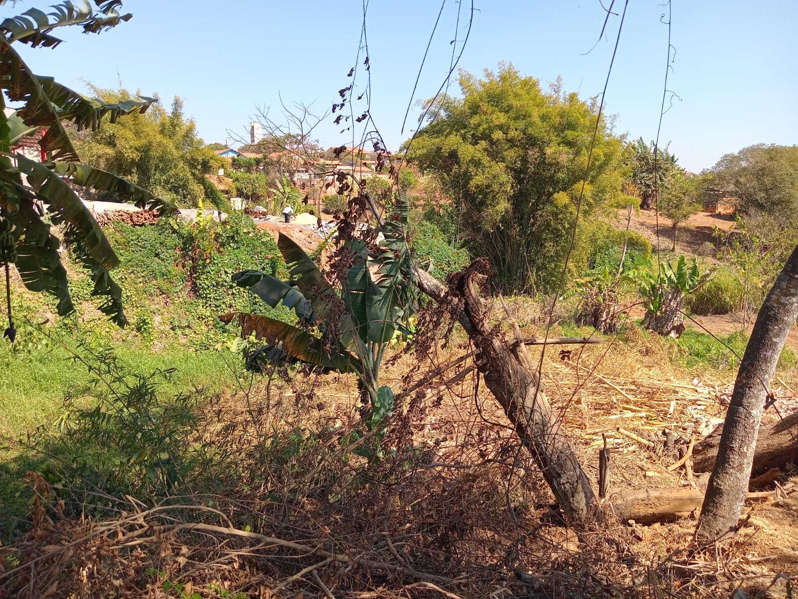 Terreno à venda - Foto 5