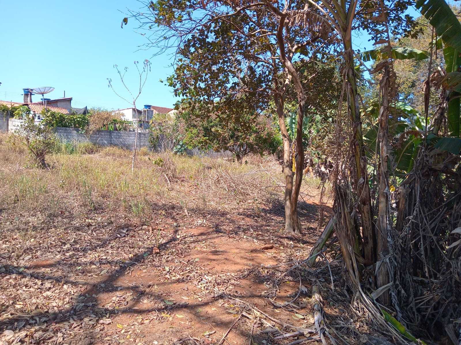 Terreno à venda - Foto 4