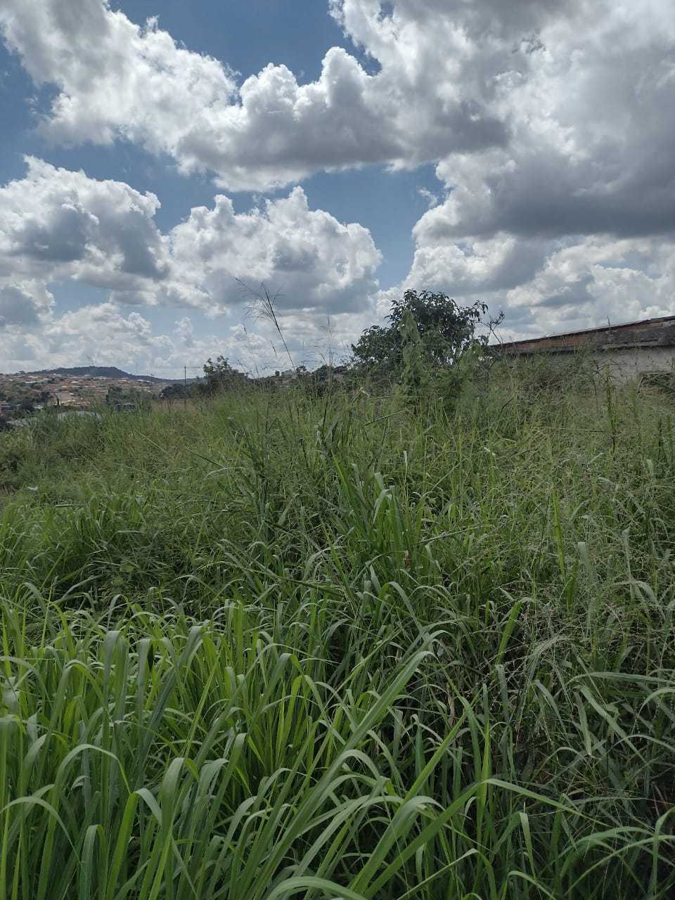 Terreno à venda, 360m² - Foto 3