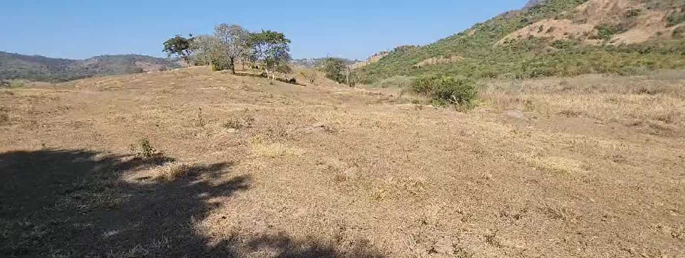 Chácara à venda com 1 quarto, 9500000m² - Foto 7