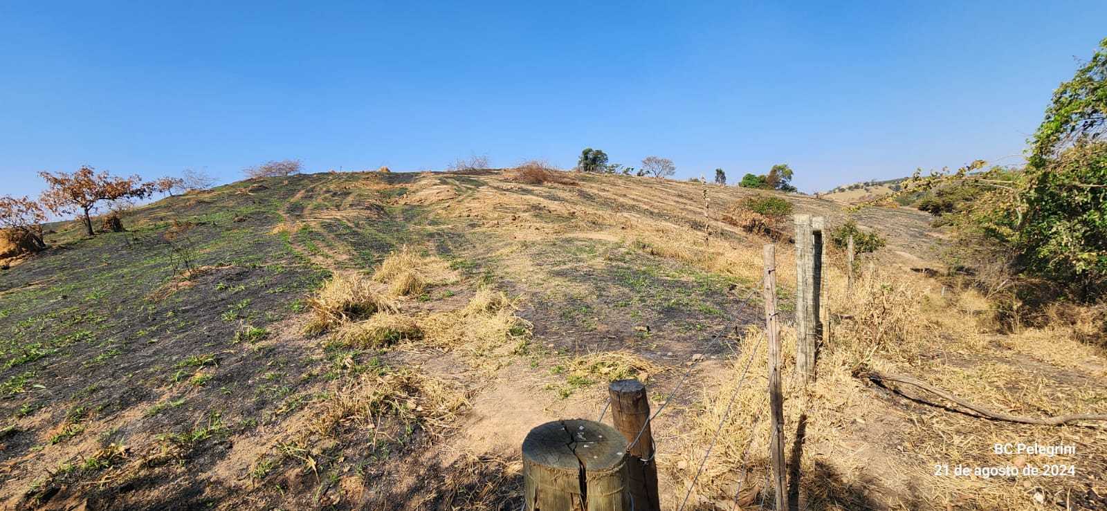 Chácara à venda com 1 quarto, 9500000m² - Foto 4