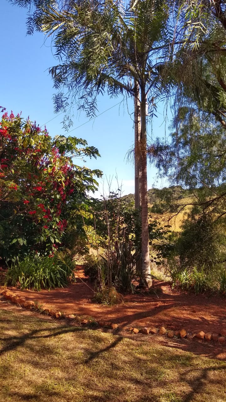 Chácara à venda com 1 quarto, 20000m² - Foto 12