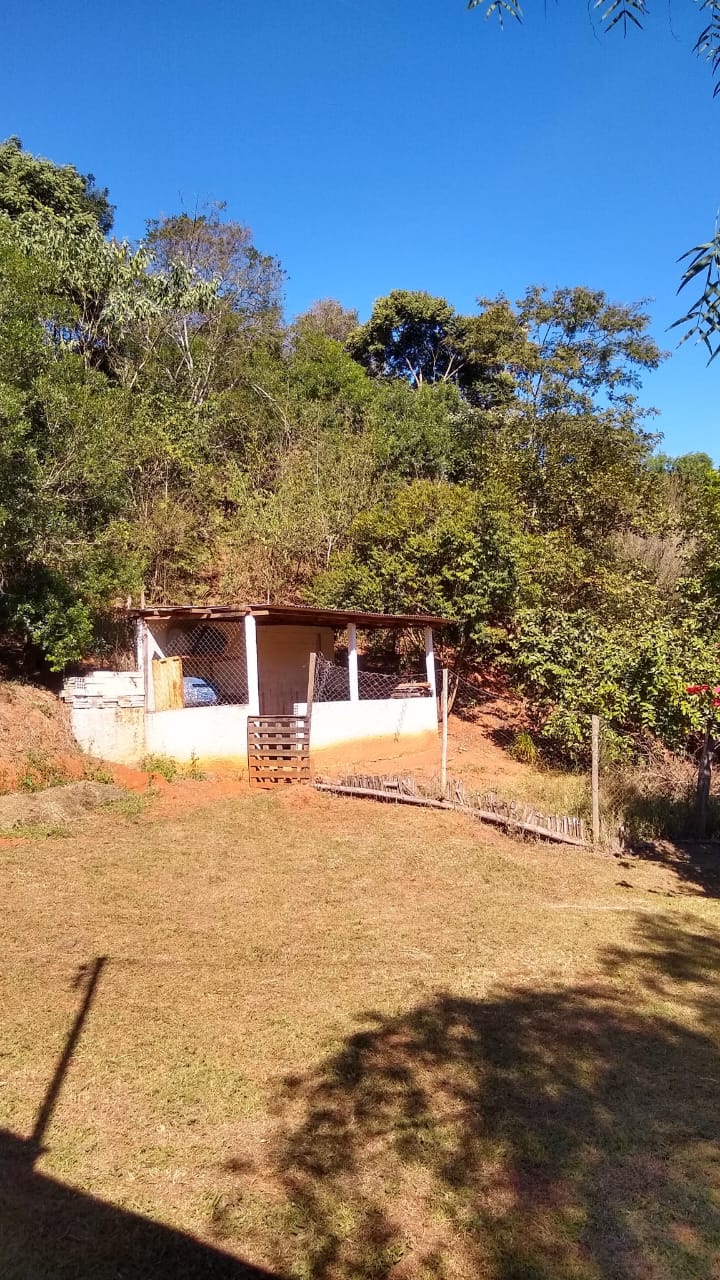 Chácara à venda com 1 quarto, 20000m² - Foto 14