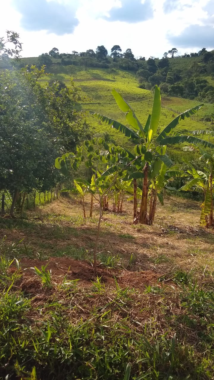 Chácara à venda com 1 quarto, 20000m² - Foto 17