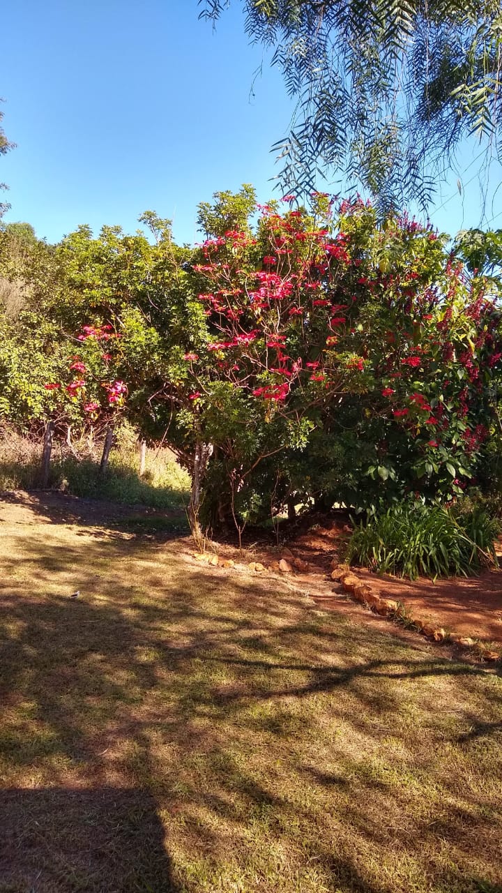 Chácara à venda com 1 quarto, 20000m² - Foto 13