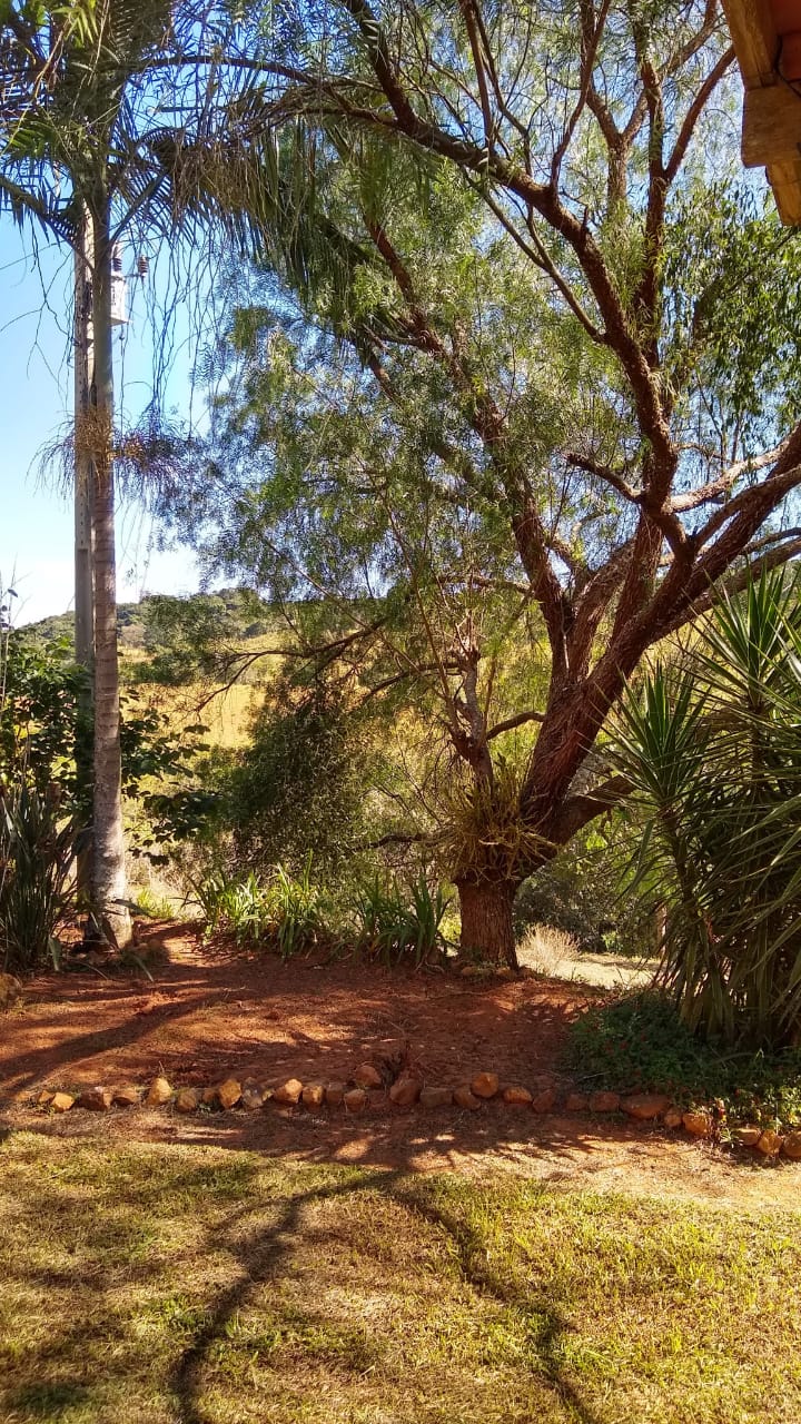 Chácara à venda com 1 quarto, 20000m² - Foto 11