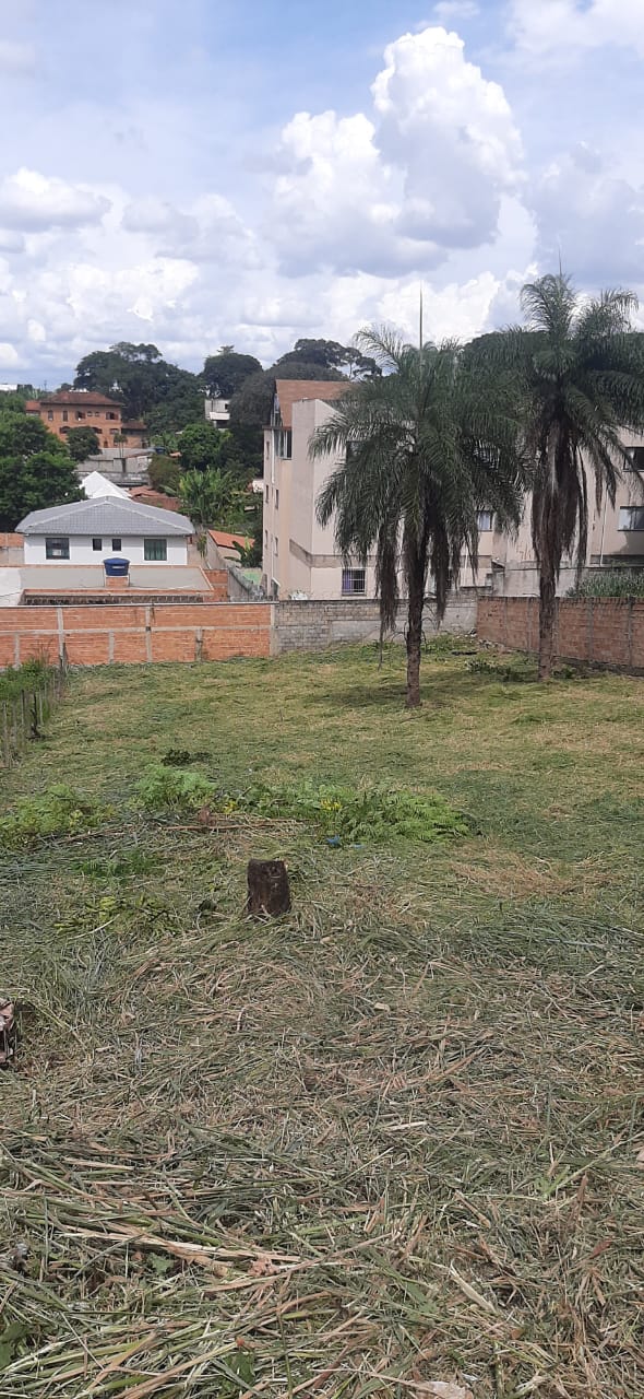 Terreno à venda, 1000m² - Foto 4