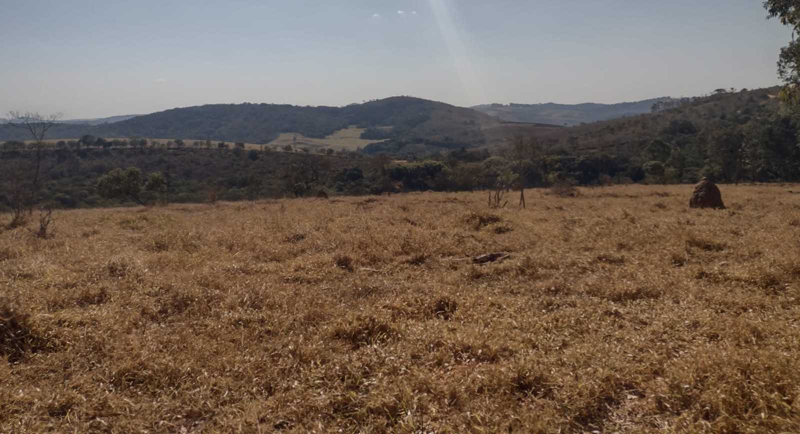 Chácara à venda com 1 quarto, 1000000m² - Foto 16