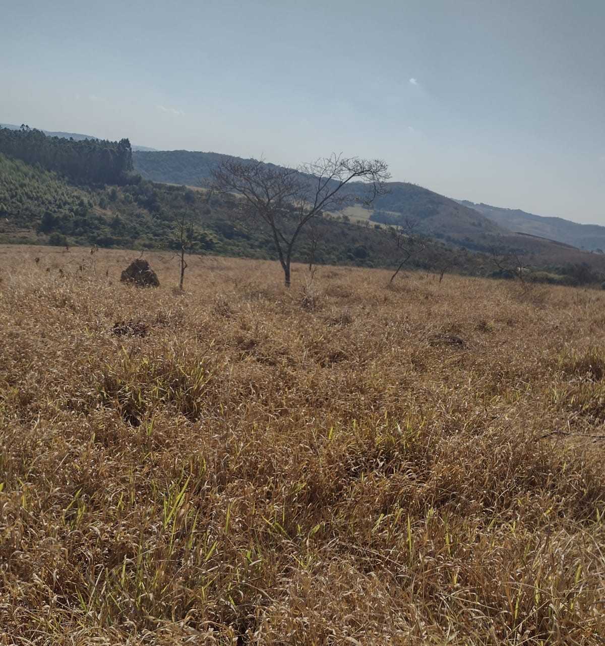 Chácara à venda com 1 quarto, 1000000m² - Foto 19