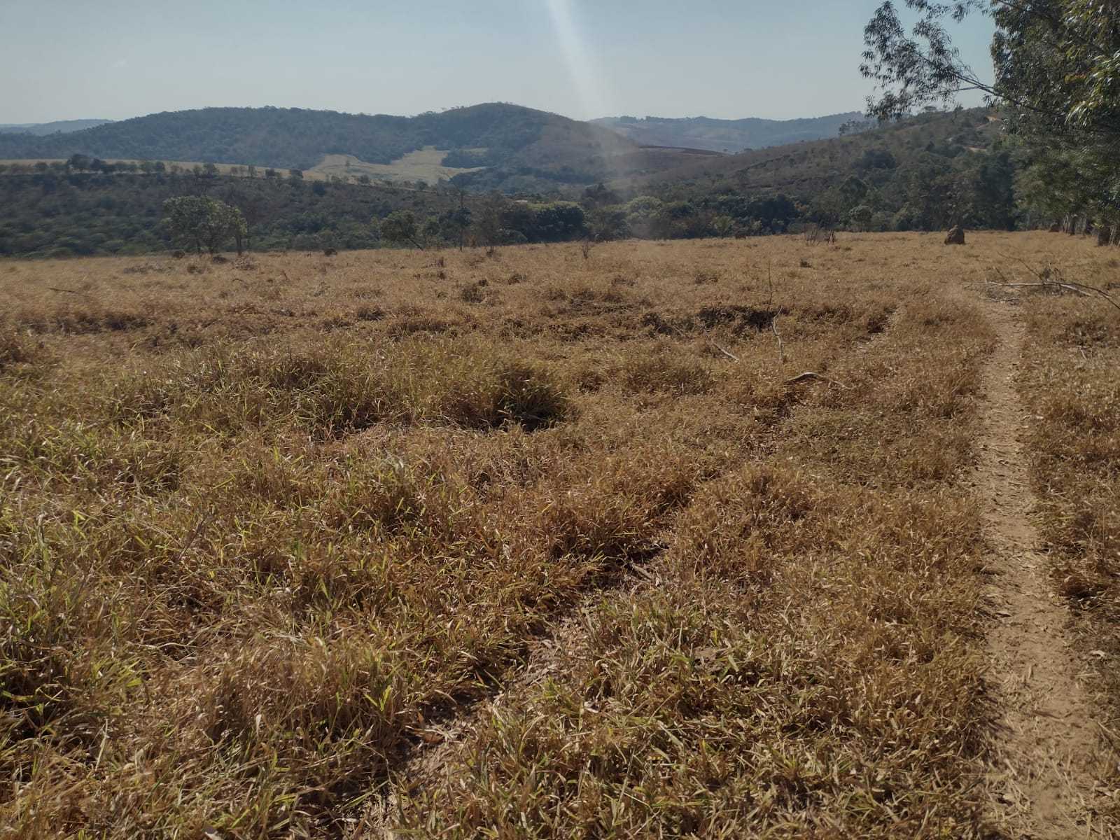 Chácara à venda com 1 quarto, 1000000m² - Foto 17