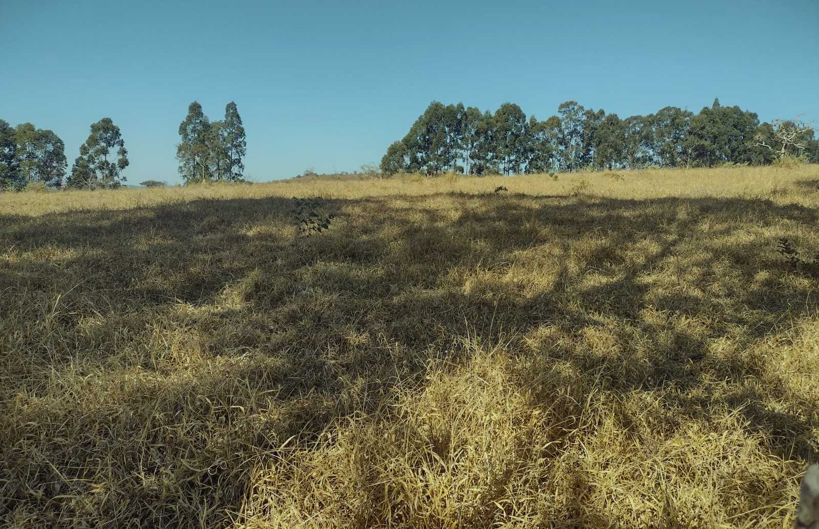 Chácara à venda com 1 quarto, 1000000m² - Foto 13