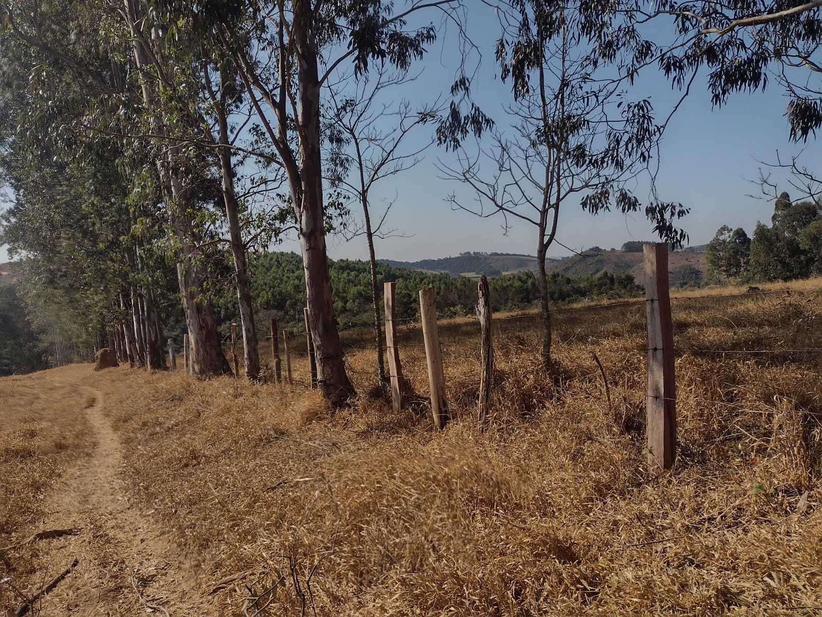 Chácara à venda com 1 quarto, 1000000m² - Foto 14