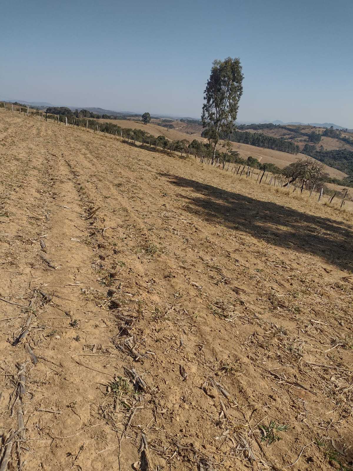 Chácara à venda com 1 quarto, 1000000m² - Foto 22