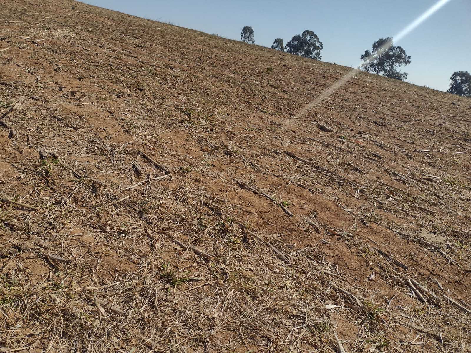 Chácara à venda com 1 quarto, 1000000m² - Foto 23