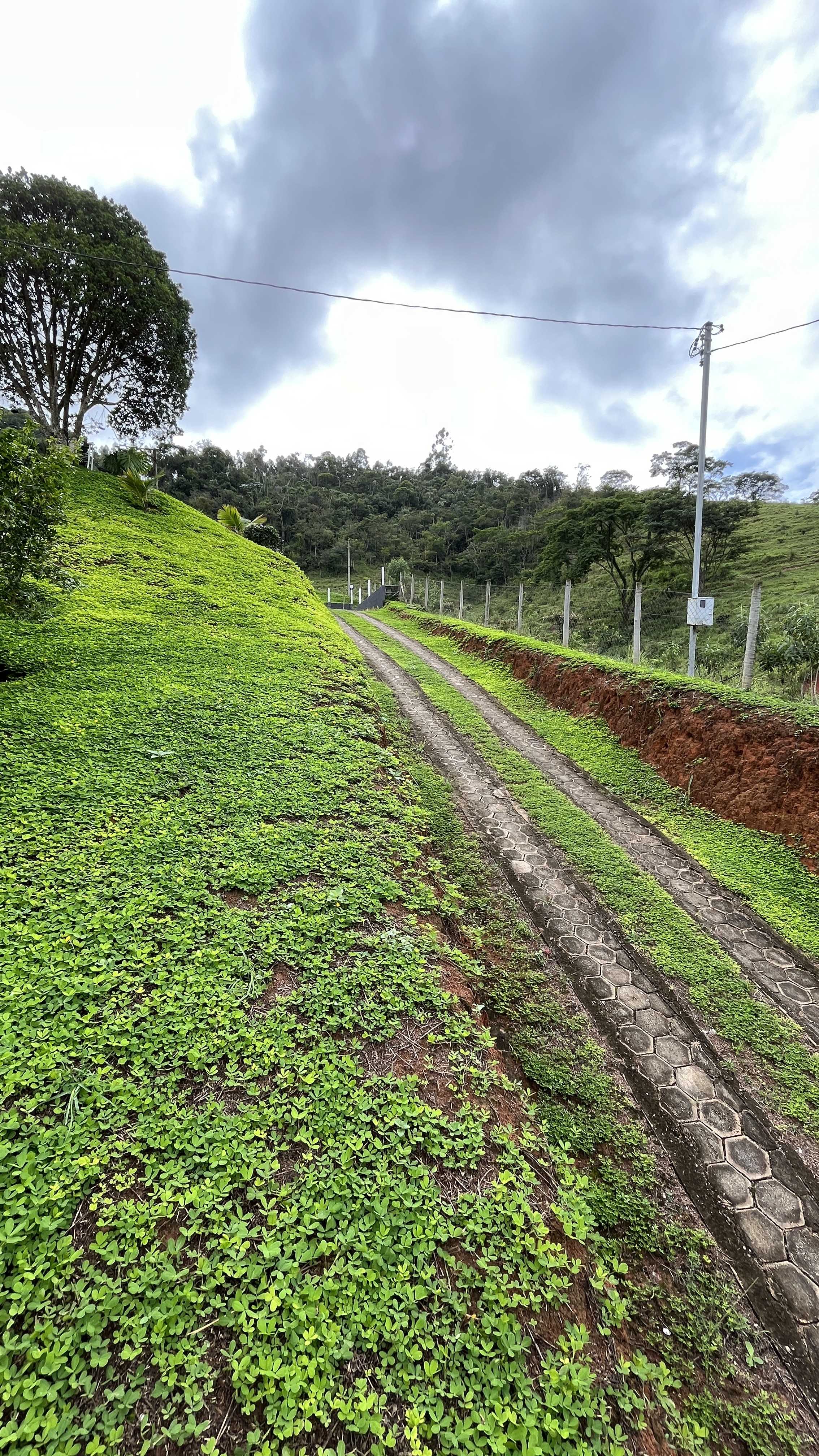 Chácara à venda com 2 quartos, 2100m² - Foto 16