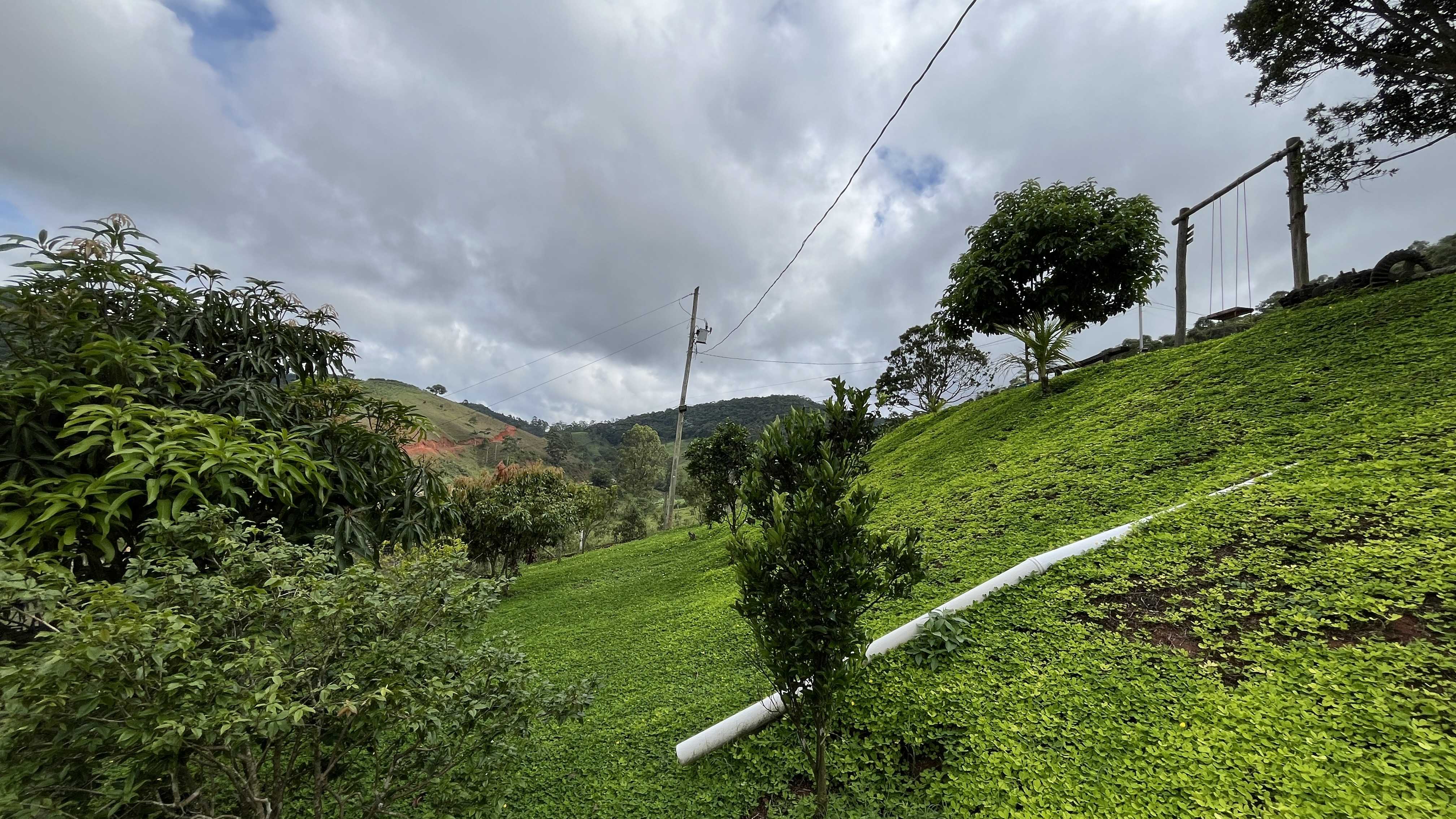 Chácara à venda com 2 quartos, 2100m² - Foto 17