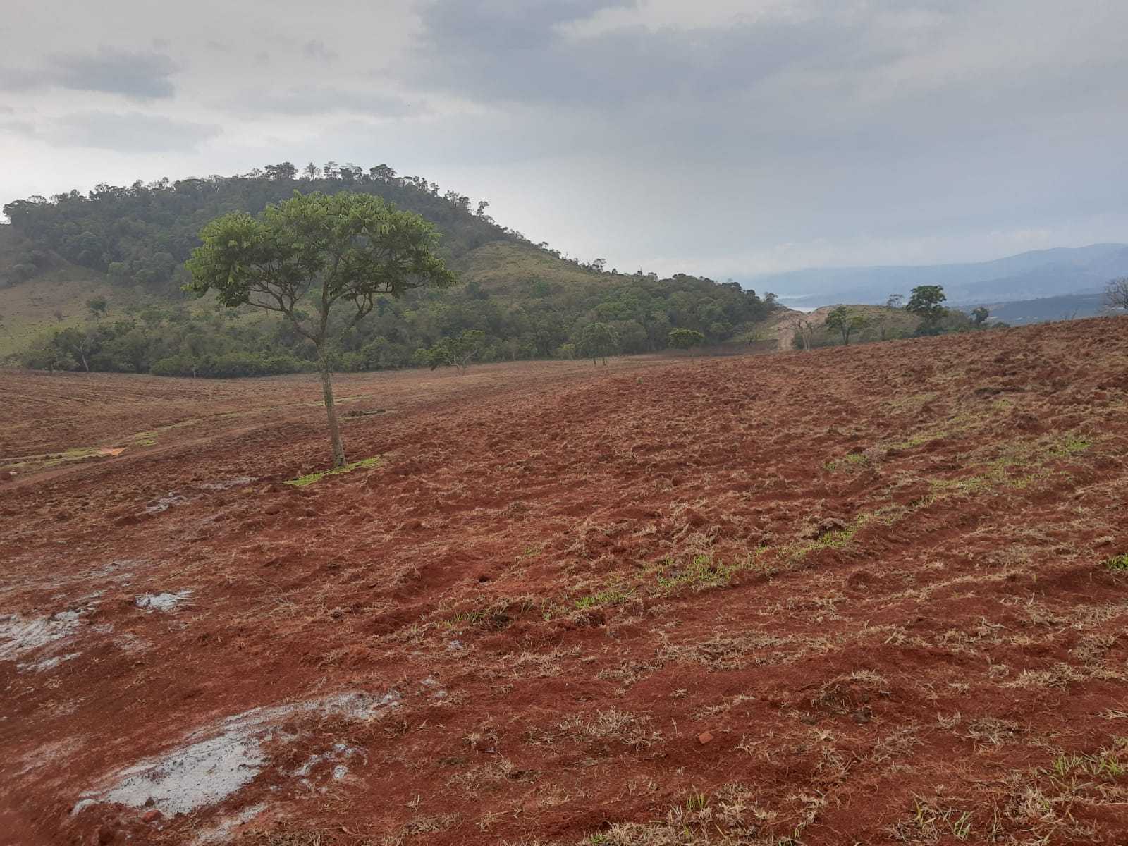 Chácara à venda com 1 quarto, 4130000m² - Foto 2