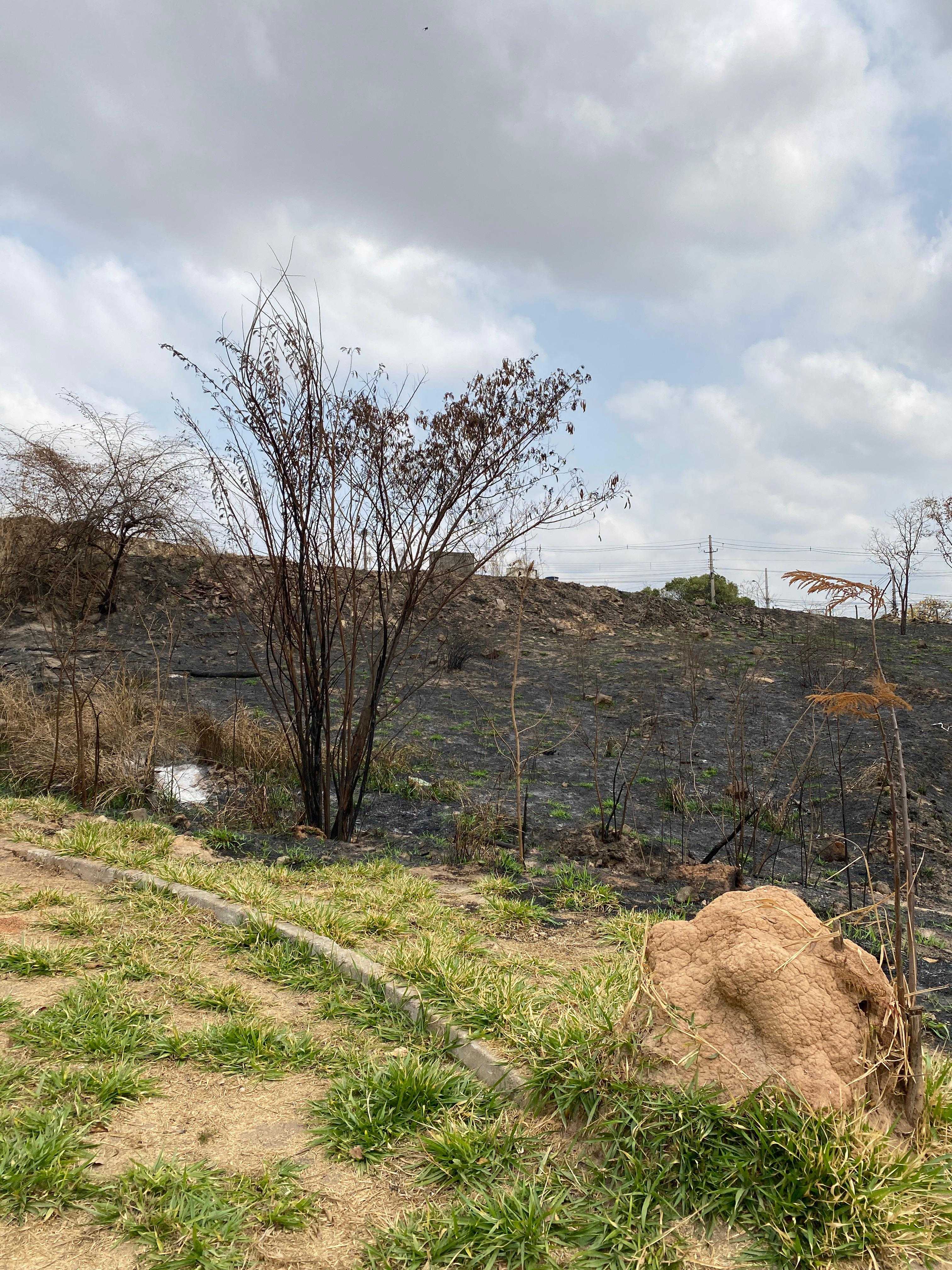 Terreno à venda, 544m² - Foto 1