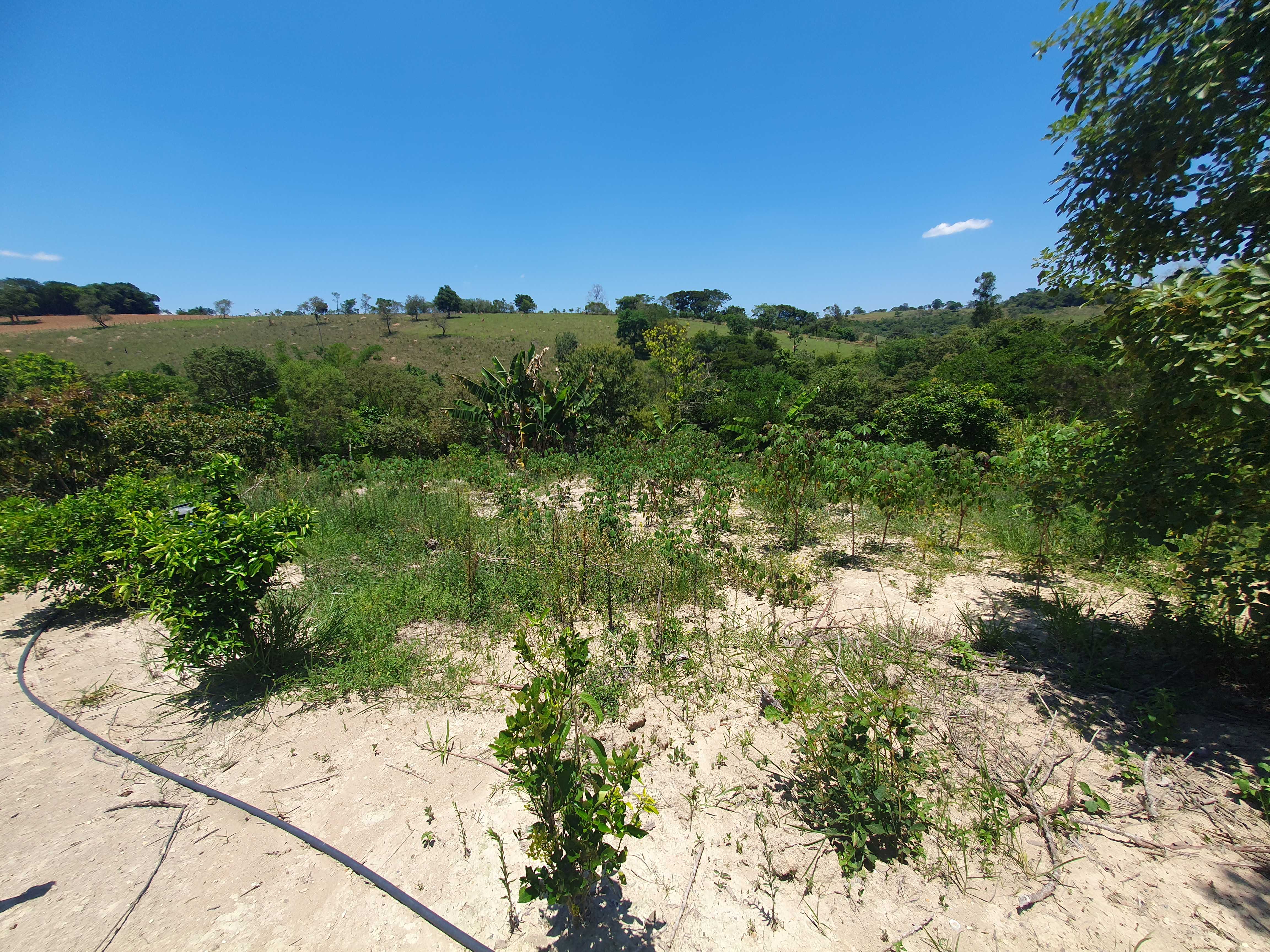 Chácara à venda com 2 quartos, 20000m² - Foto 24