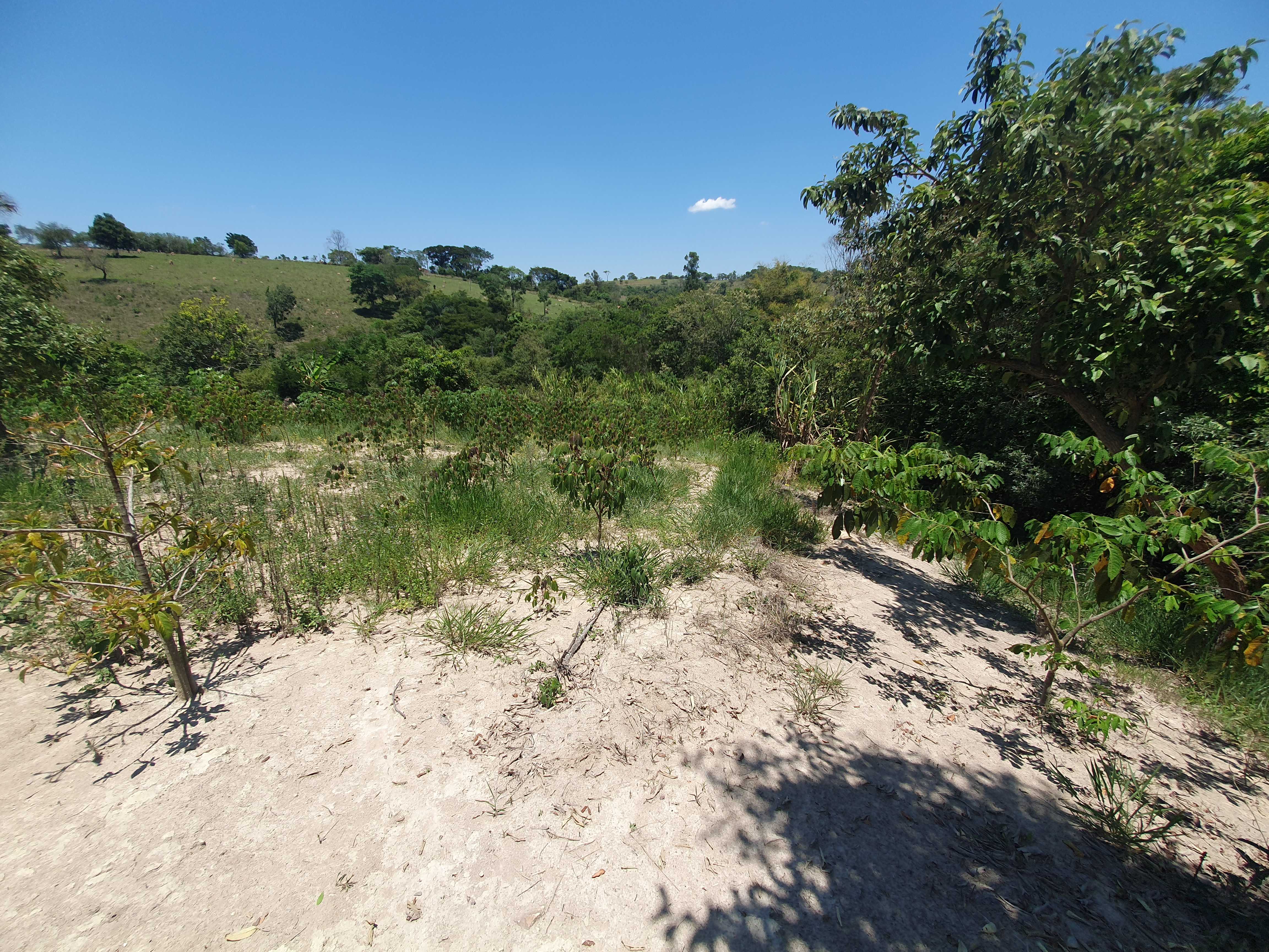 Chácara à venda com 2 quartos, 20000m² - Foto 20