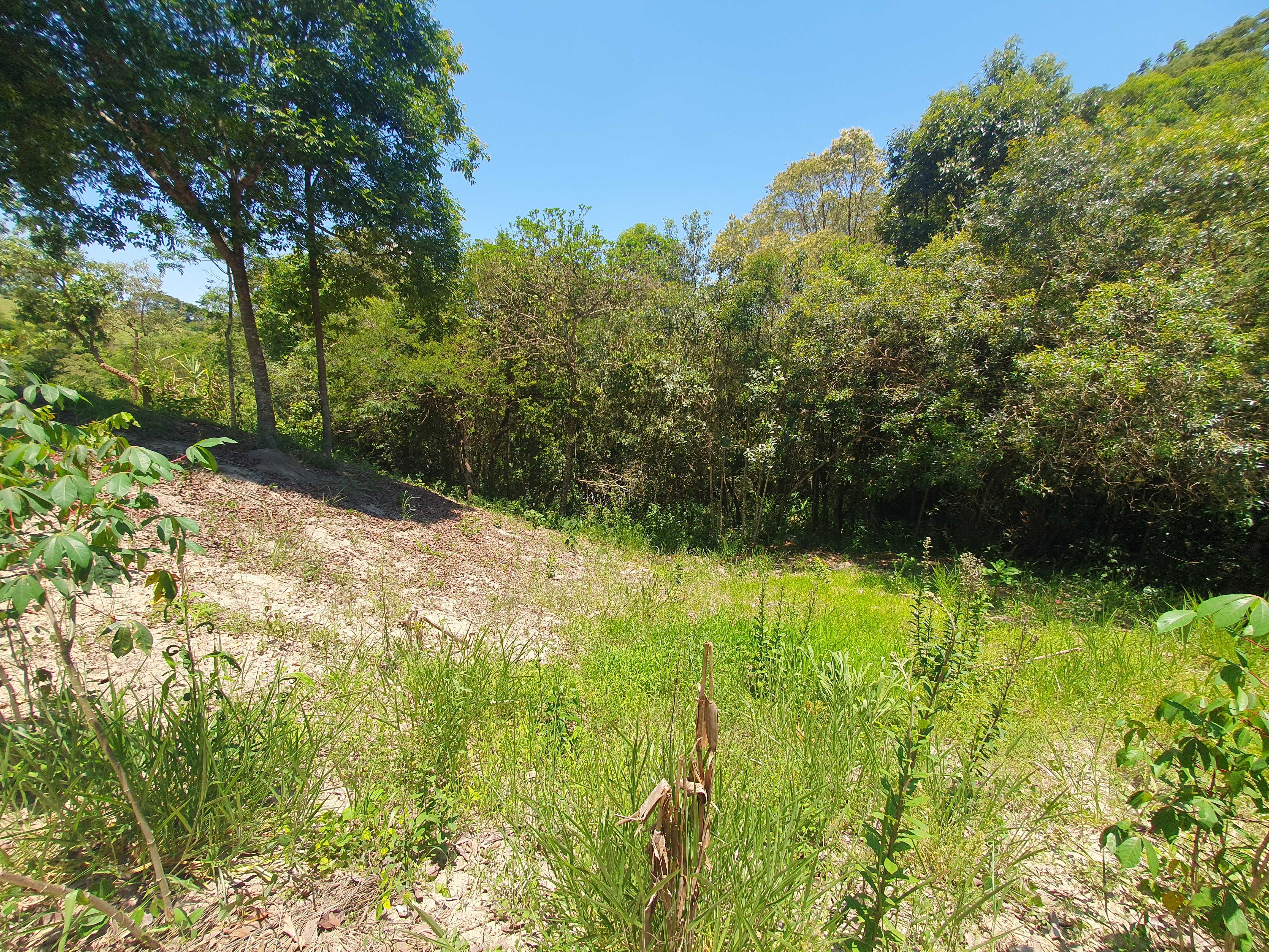 Chácara à venda com 2 quartos, 20000m² - Foto 18