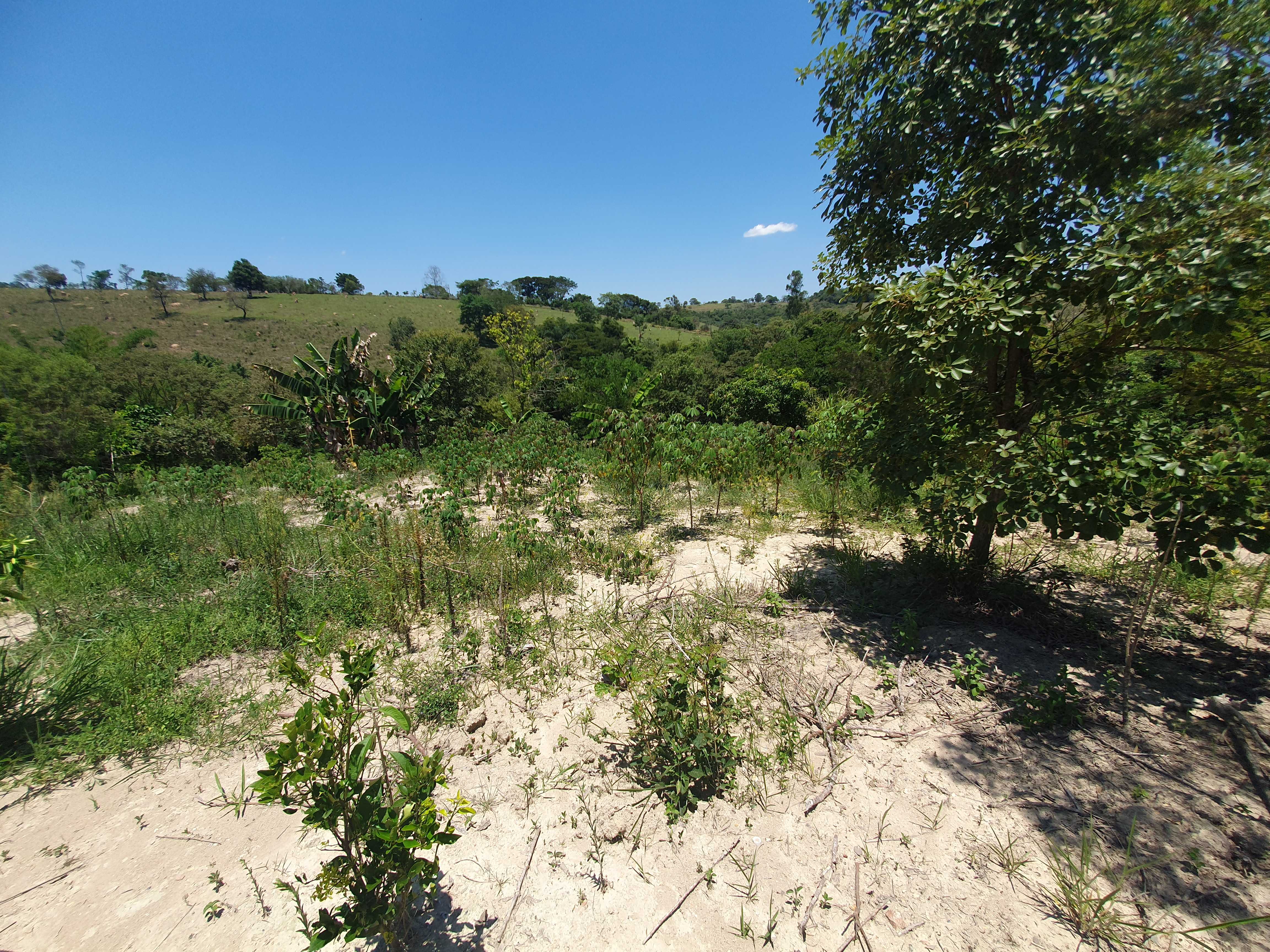 Chácara à venda com 2 quartos, 20000m² - Foto 23