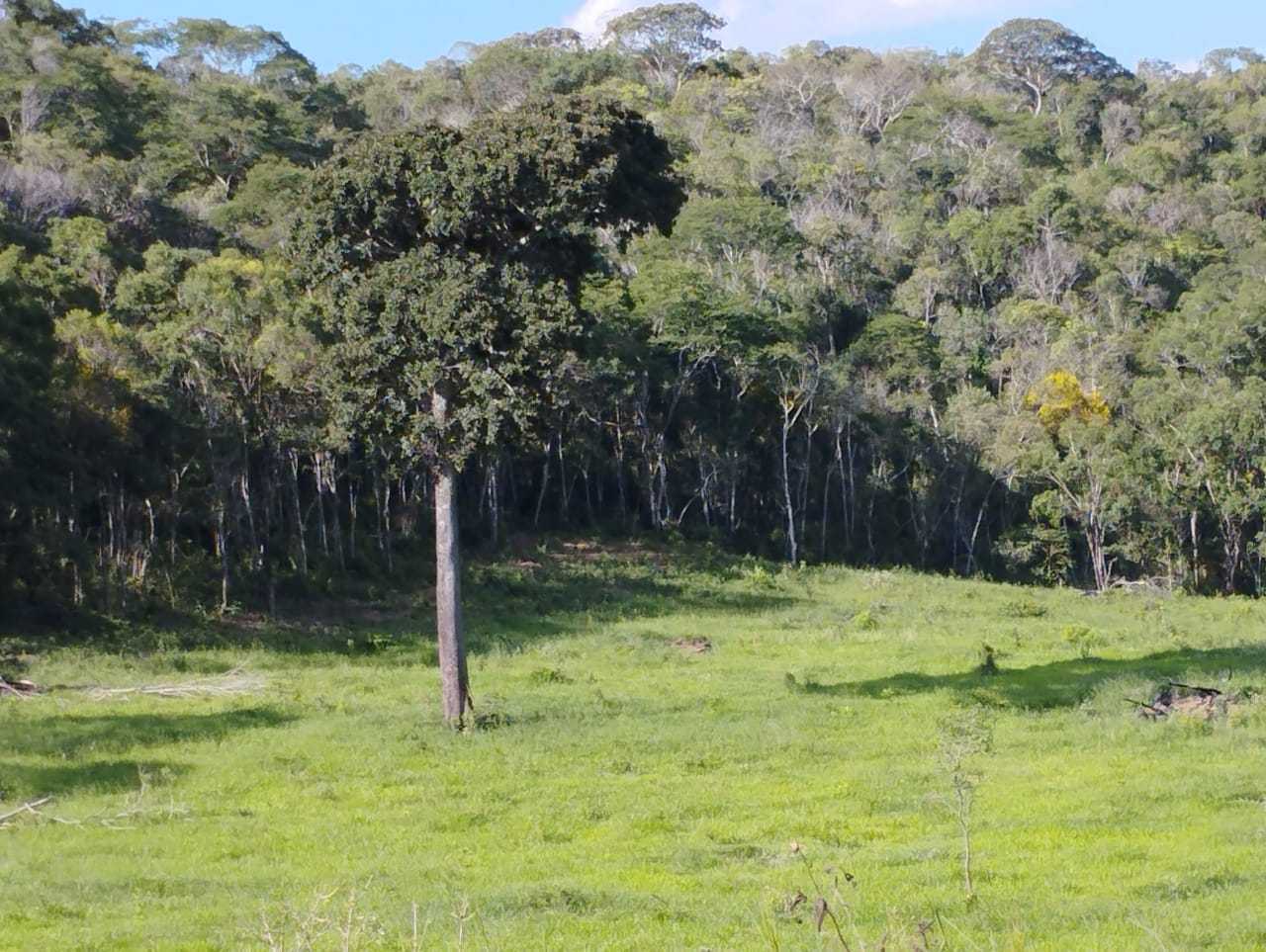 Chácara à venda com 3 quartos, 7300000m² - Foto 16