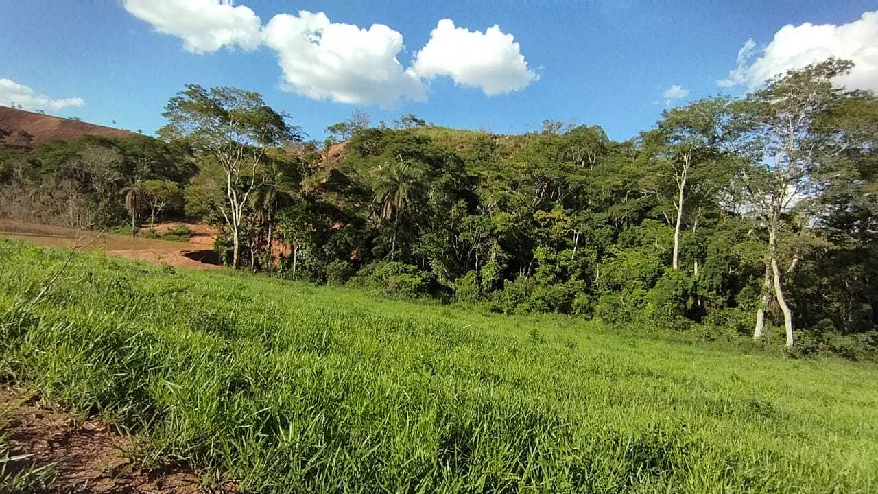 Chácara à venda com 3 quartos, 7300000m² - Foto 6