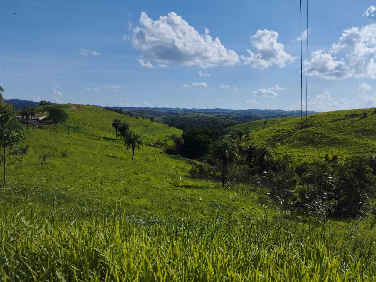 Chácara à venda com 3 quartos, 7300000m² - Foto 15