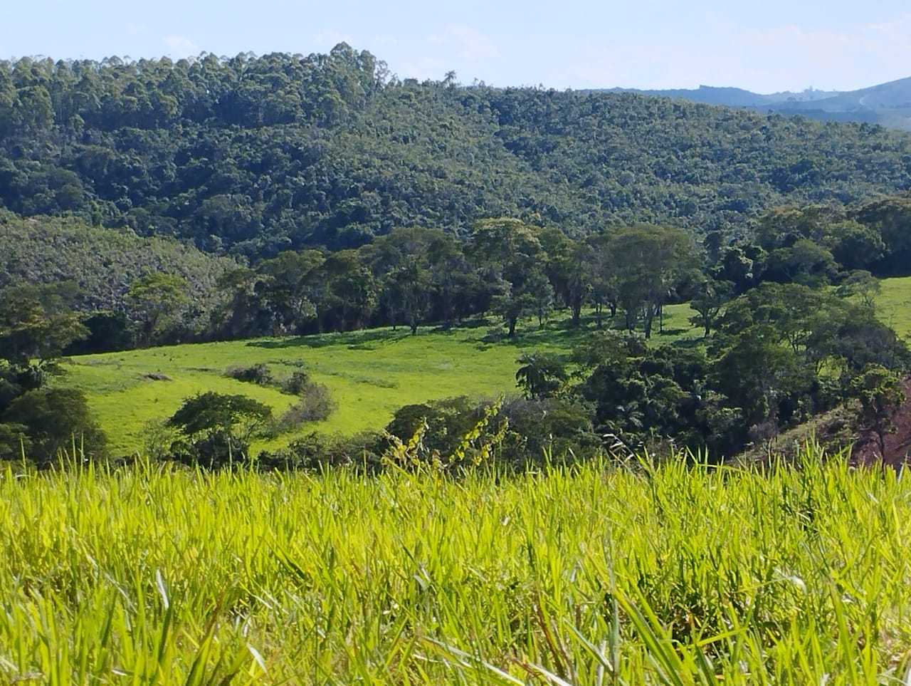 Chácara à venda com 3 quartos, 7300000m² - Foto 19