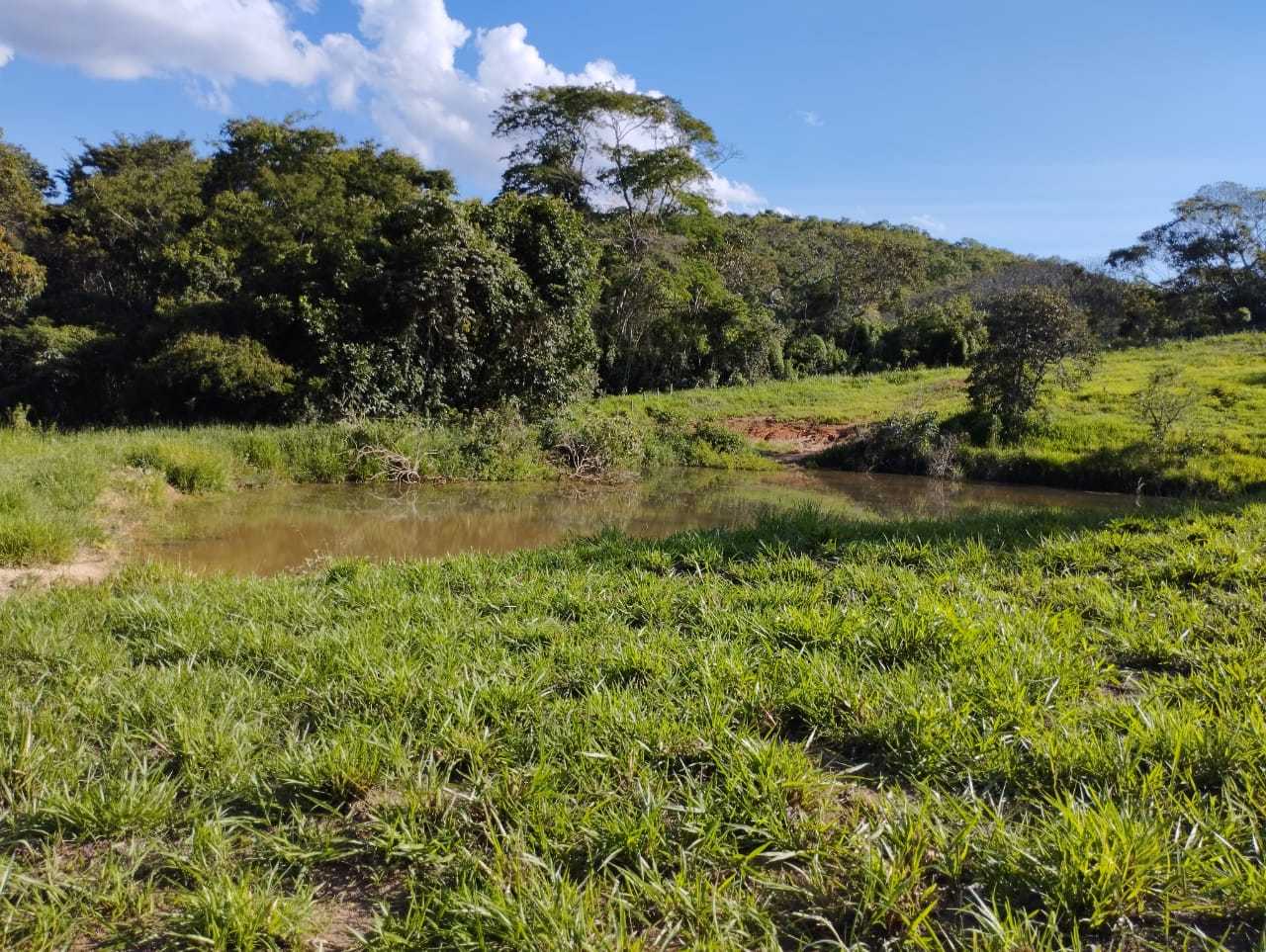 Chácara à venda com 3 quartos, 7300000m² - Foto 11