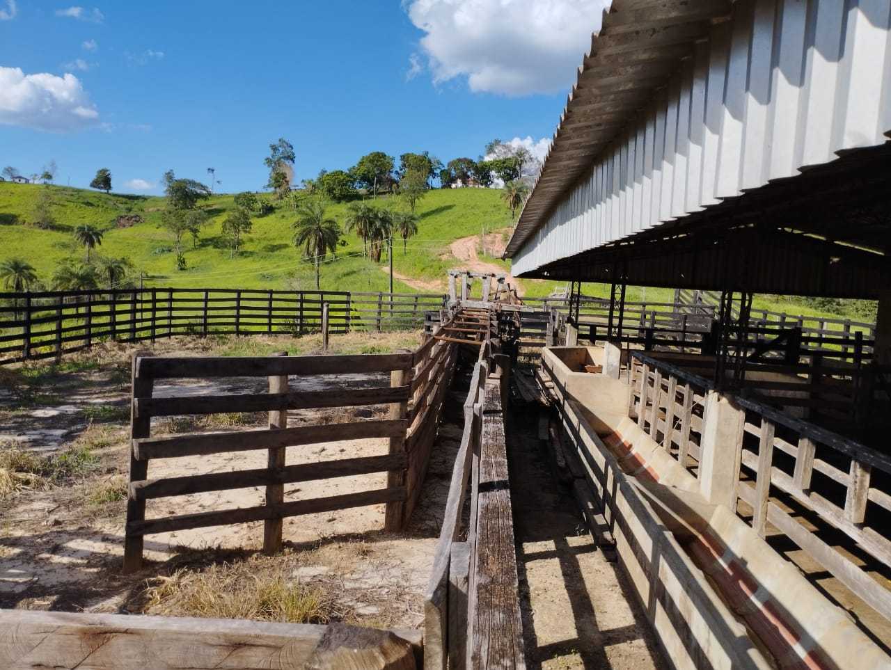 Chácara à venda com 3 quartos, 7300000m² - Foto 14