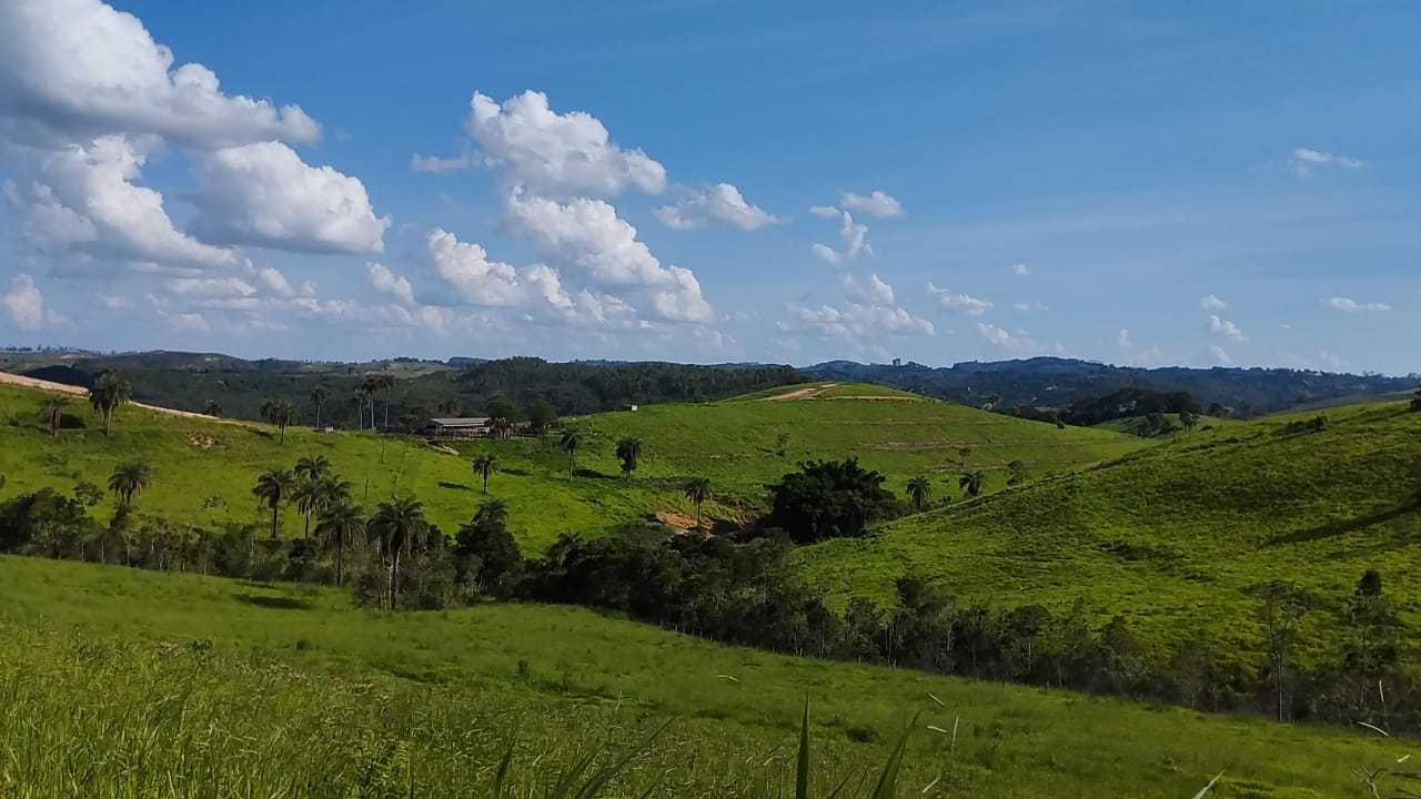 Chácara à venda com 3 quartos, 7300000m² - Foto 18