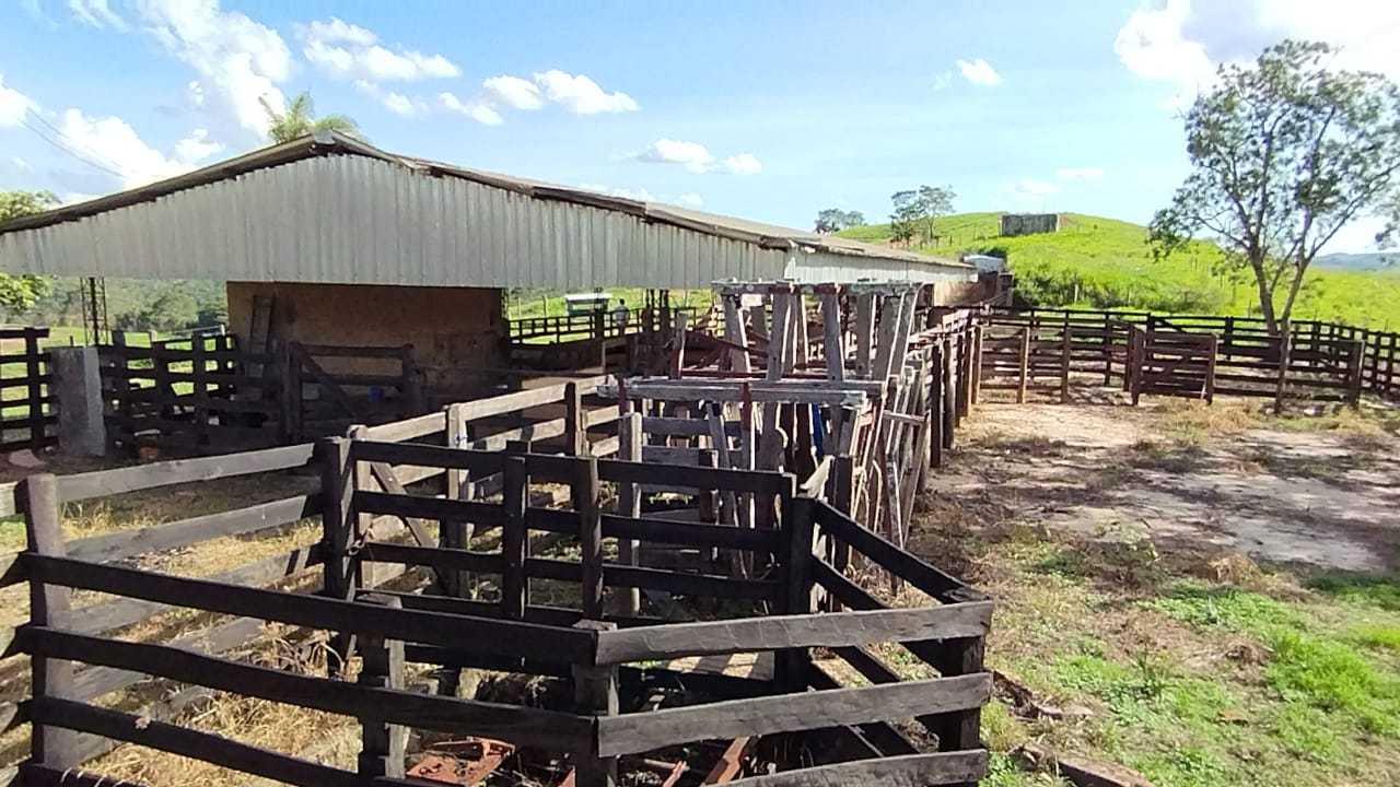 Chácara à venda com 3 quartos, 7300000m² - Foto 13