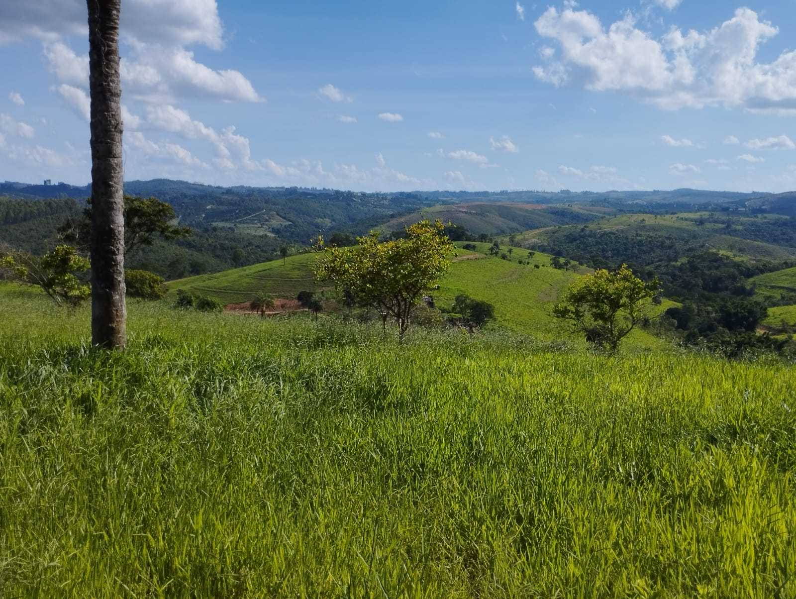 Chácara à venda com 3 quartos, 7300000m² - Foto 20