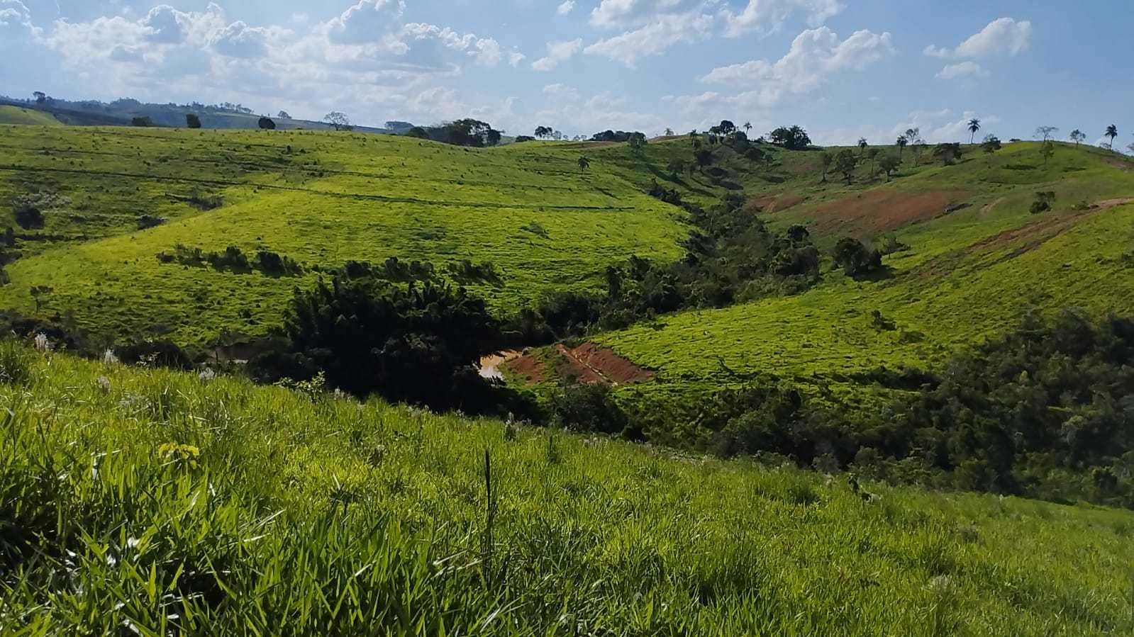 Chácara à venda com 3 quartos, 7300000m² - Foto 9