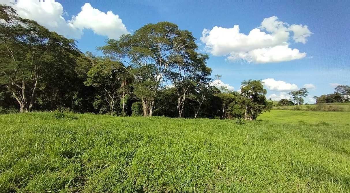 Chácara à venda com 3 quartos, 7300000m² - Foto 7