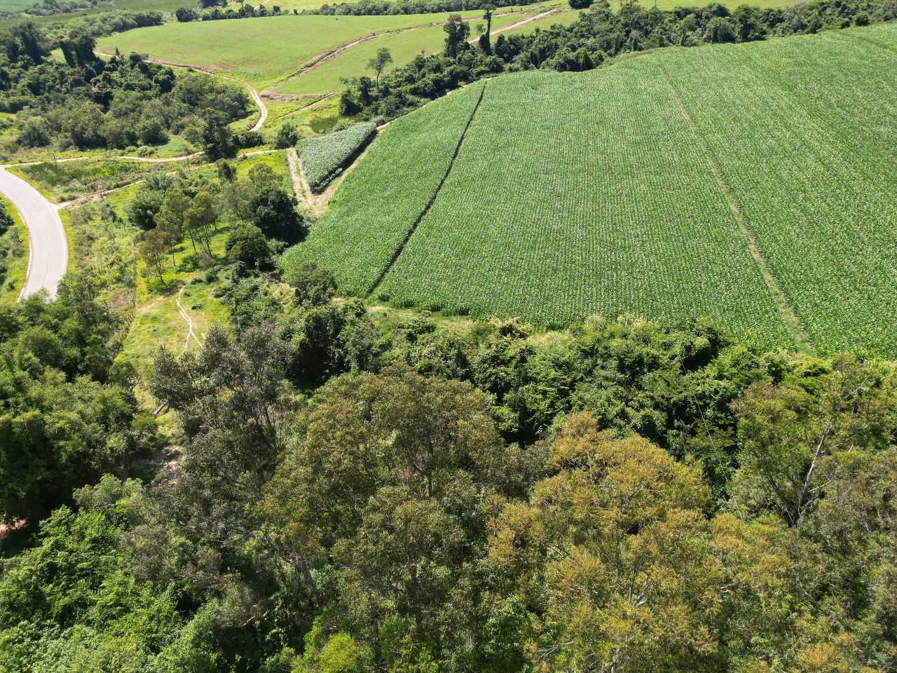 Chácara à venda com 3 quartos, 790000m² - Foto 25