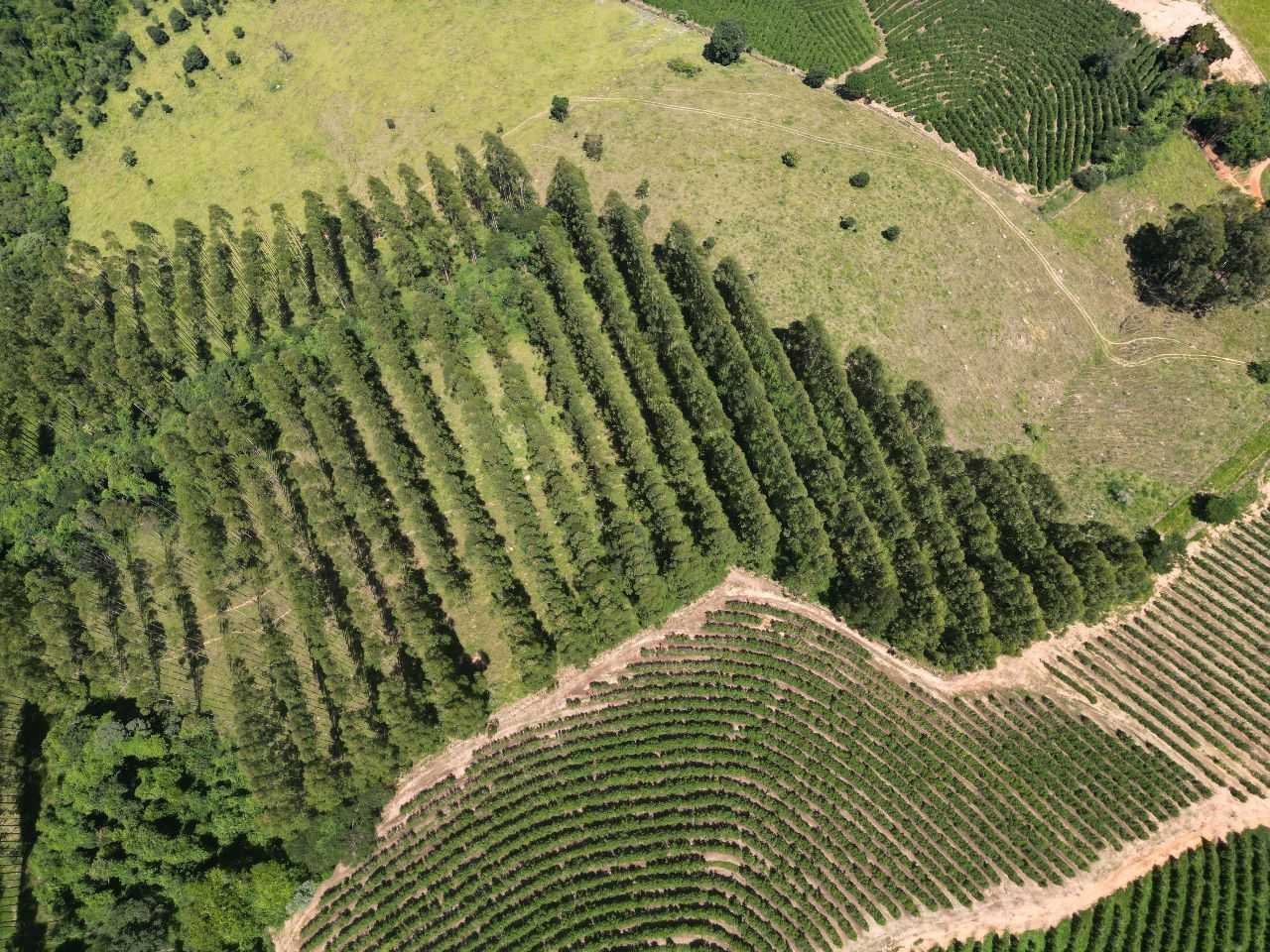 Chácara à venda com 3 quartos, 790000m² - Foto 21