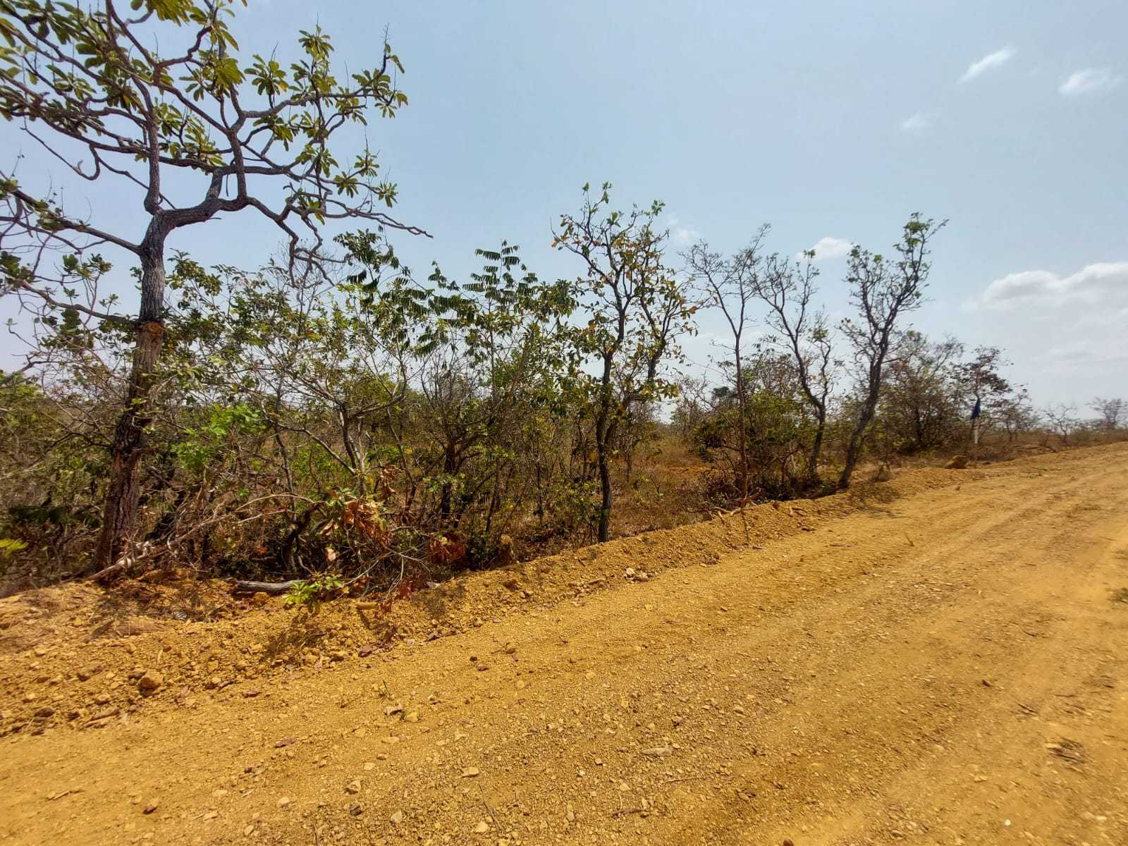 Chácara à venda com 1 quarto, 20000m² - Foto 9