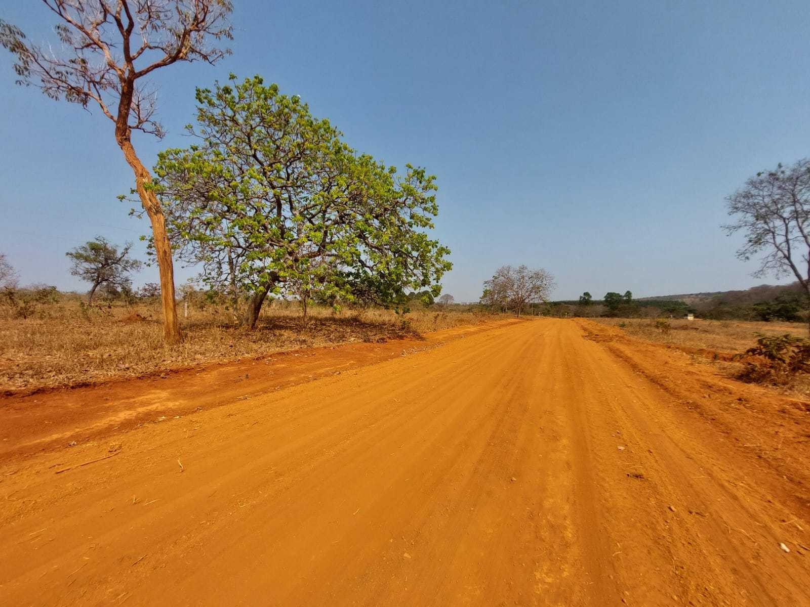 Chácara à venda com 1 quarto, 20000m² - Foto 4