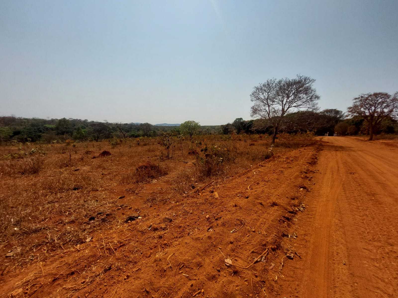 Chácara à venda com 1 quarto, 20000m² - Foto 5