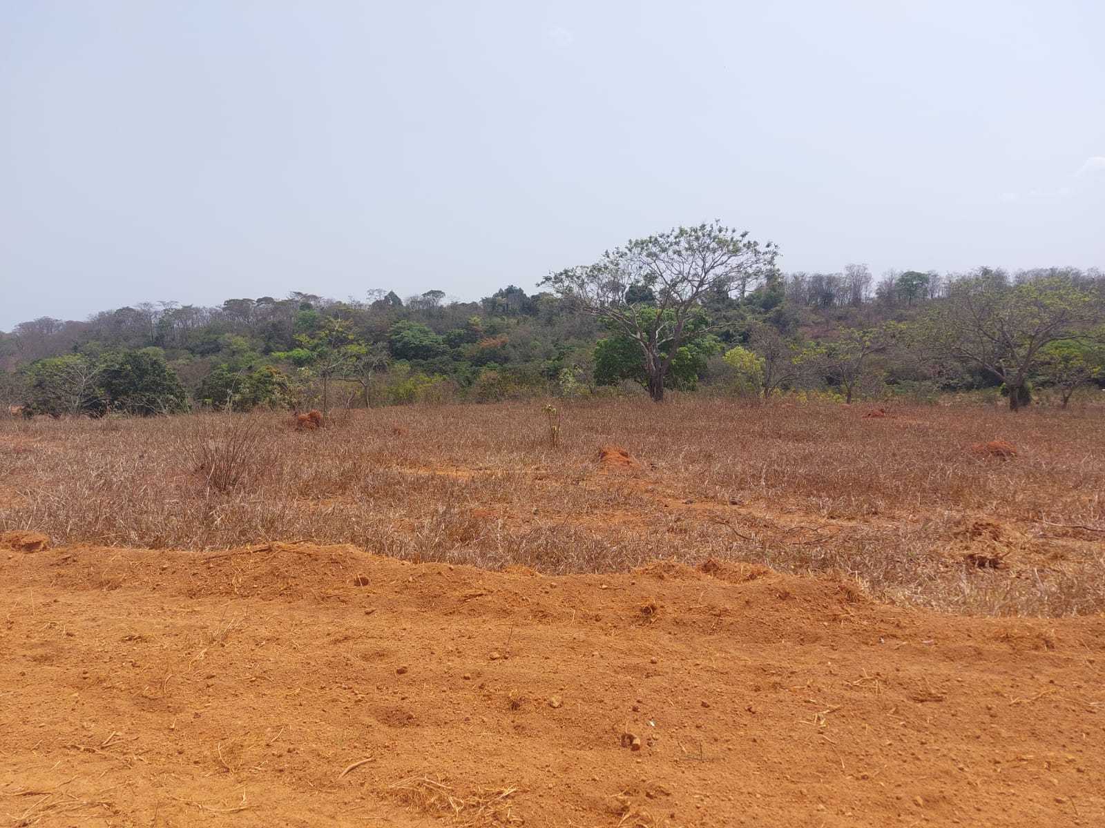 Chácara à venda com 1 quarto, 20000m² - Foto 1