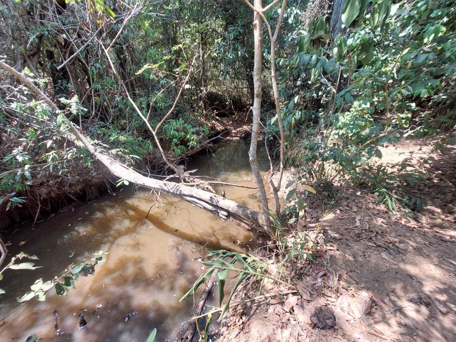 Chácara à venda com 1 quarto, 20000m² - Foto 10