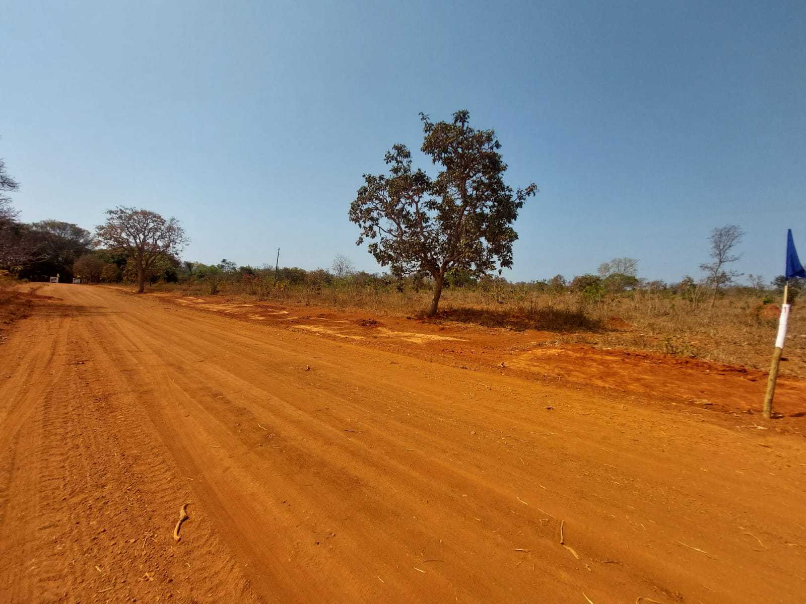 Chácara à venda com 1 quarto, 20000m² - Foto 3