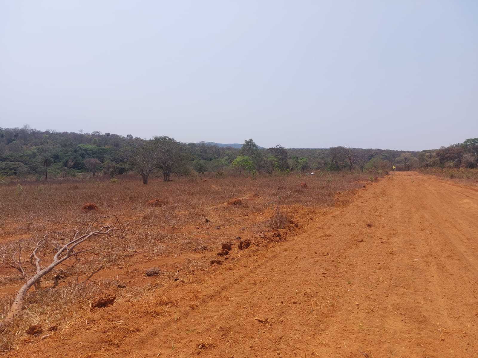 Chácara à venda com 1 quarto, 20000m² - Foto 6