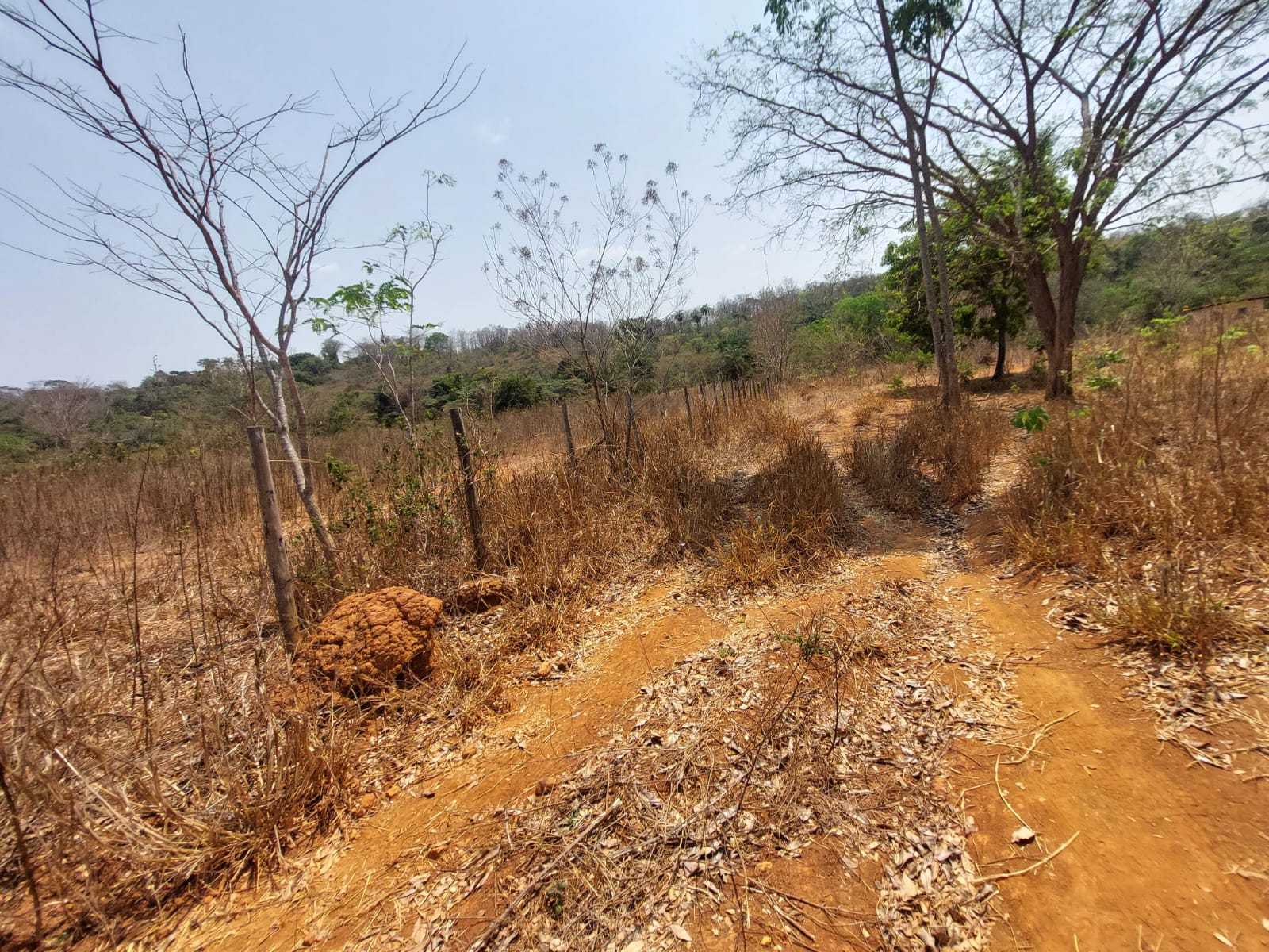 Chácara à venda com 1 quarto, 20000m² - Foto 8