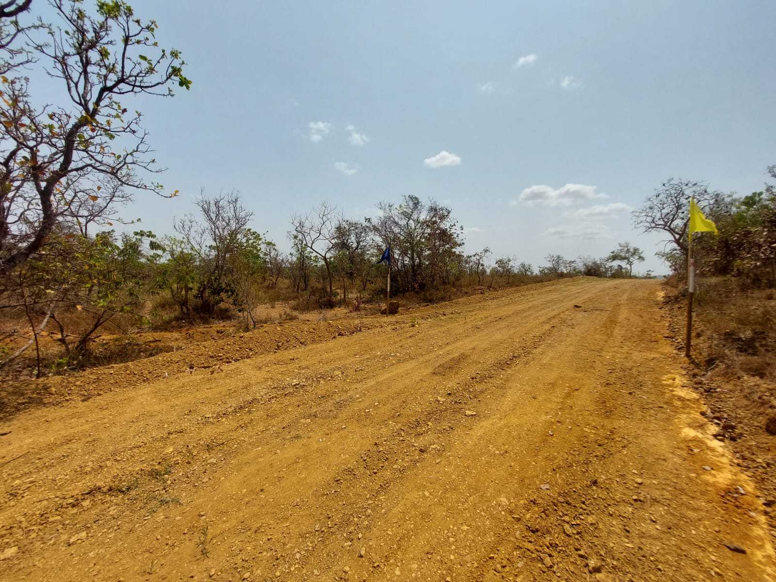 Chácara à venda com 1 quarto, 20000m² - Foto 12