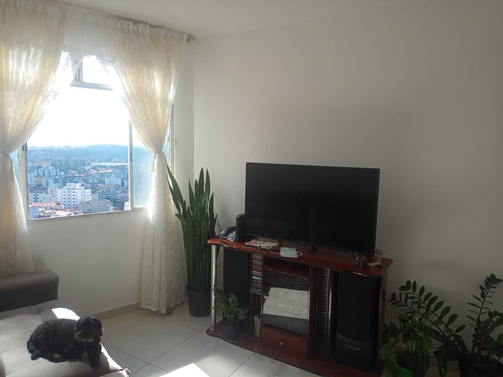 Apartamento à venda com 2 quartos, 56m² - Foto 12