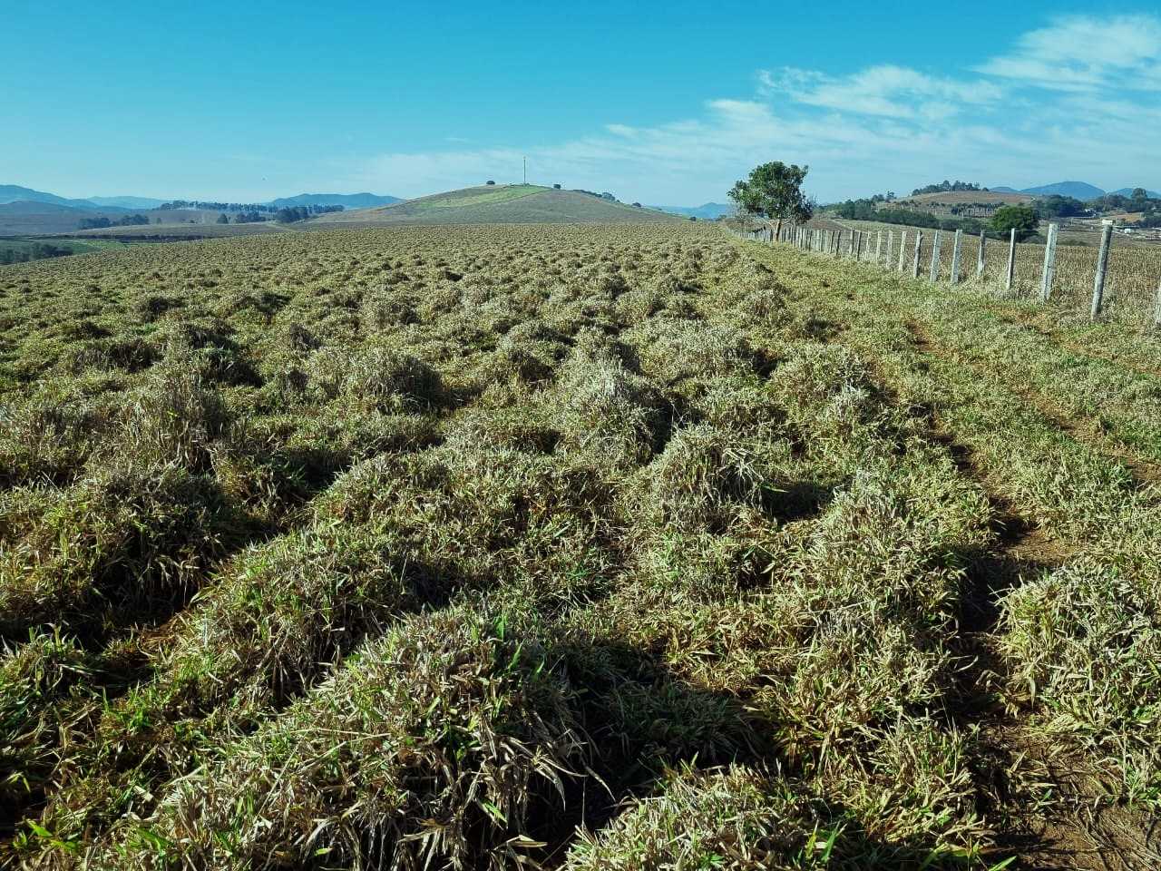 Chácara à venda com 3 quartos, 2090000m² - Foto 16